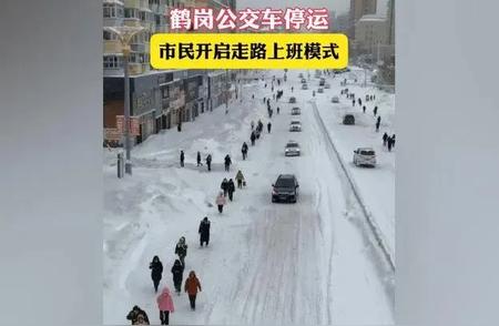 风雪无阻！东北人在封城中的坚韧步伐