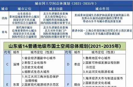 国家与地方对山东各城市发展定位的差异解读