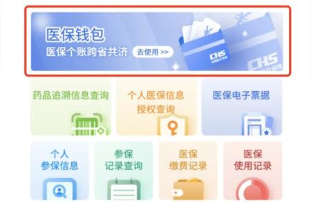 跨时代福利来袭！“医保钱包”助力九省份民众享受医疗保障。