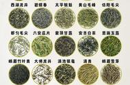 中国绿茶精粹：25种茶叶知识宝典