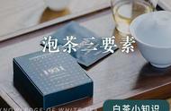 如何正确泡茶？三要素告诉你答案