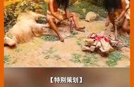 揭开玉猪龙之谜：泥河湾博物馆镇馆之宝背后的历史与传奇