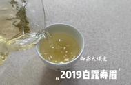 白茶爱好者必看：寿眉散茶与饼茶的选购攻略