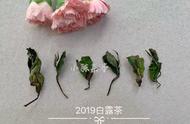 口粮茶新宠：白茶的三大优势解读