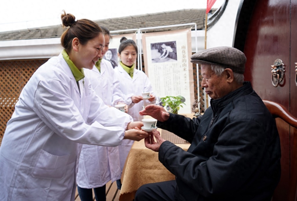 南京：钟山雨花茶春茶开始采摘炒制