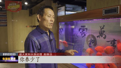 鹦鹉鱼养护方法_热带鱼新手指南_热带鱼 银针