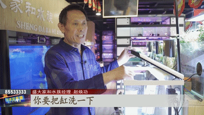 热带鱼 银针_鹦鹉鱼养护方法_热带鱼新手指南